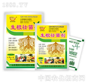 ��(r��n)��-�������焩A+B