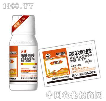 24%��߻����-̫��