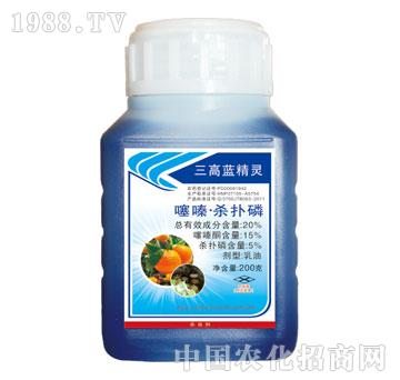 �G�S-�����{���`-��ບ�����