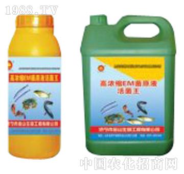 ��ɽ����-�ߝ�sEM��ԭҺ�����