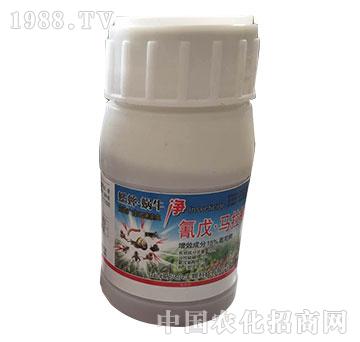 15%�����R����-��΁ţ��-�����rˎ