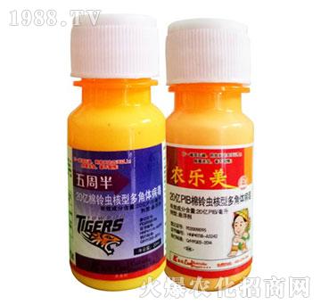 ����x(ch��ng)���Ͷ���w����-���ܰ�+�r(n��ng)��(l��)��-�P���