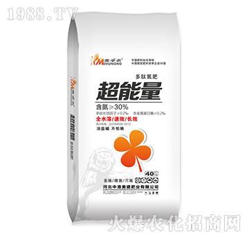 ���ĵ��ʳ�����