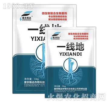 ΢�����(f��)�Ϸ��������-һ����-��(��i)�r(n��ng)˹�_(d��)