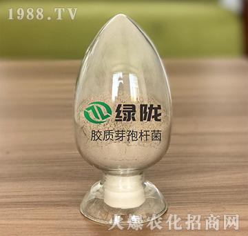 �z����ѿ�ߗU��-�G�]����