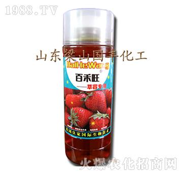 ��ݮ�����~���-��ɽ���S