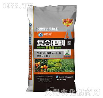 �����͏ͺϷ���24-6-10-�쌚�S