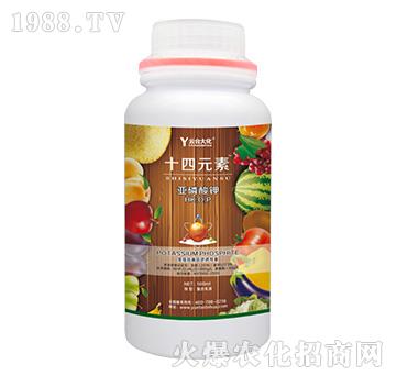 500mlʮ��Ԫ��-���_��