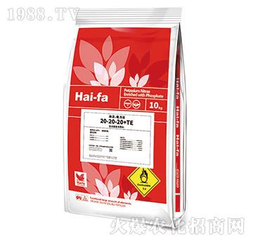 �ߝ�s�ͺϷ���20-20-20+TE-������ħ����-���ͷ�