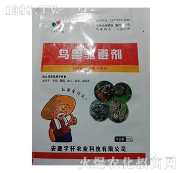 �B�F�(q��)�܄�-��܎�r(n��ng)�I(y��)