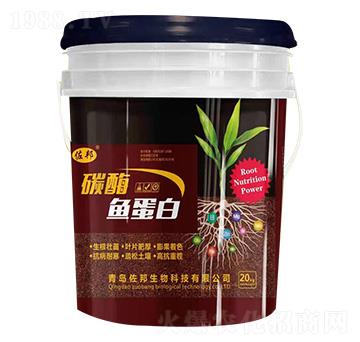 ̼ø�~����-����