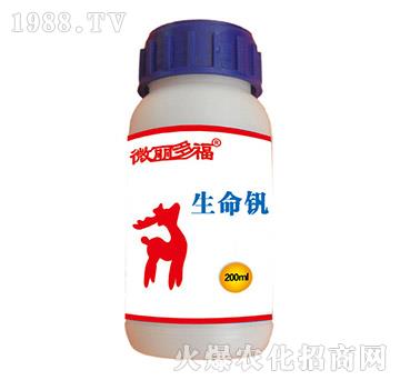 �����C-΢���ร