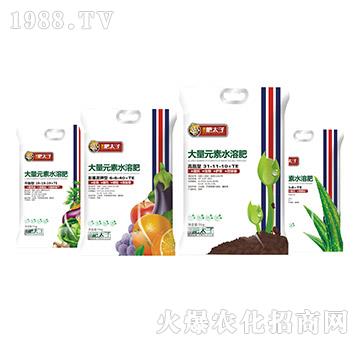 ����Ԫ��ˮ�ܷ�-��̫��