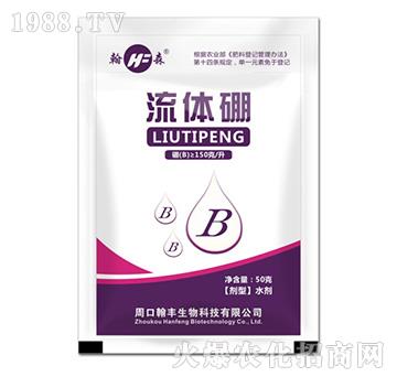 ���w��50kg��-���S