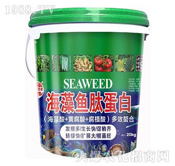 �����~�ĵ���-��@���S-���S�ʘI(y��)