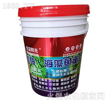 ̼ø�����~����-��(y��u)���(y��ng)��-�G֮�S