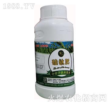 С���Ӽ{�׹�⁷�-�ؘ��r(n��ng)�I(y��)