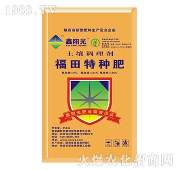 �����{�턩-�����طN��-��ꖹ�-�s��