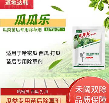 ����݄�-������-�����-�ϹϘ�(l��)-���n