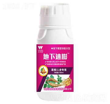 ����˅�����-��������-�֠���(y��u)