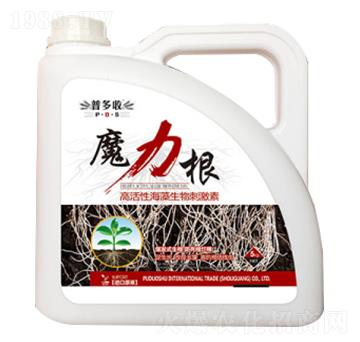 �߻��Ժ�������̼���-ħ����-�ն���