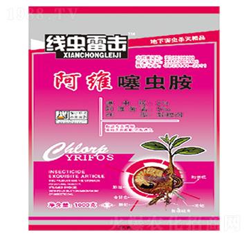 ���S���x��-���x�ד�-��������