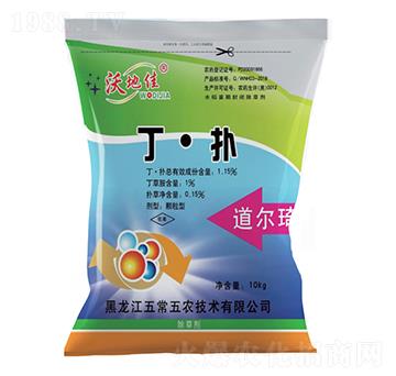 ������-������-�峣