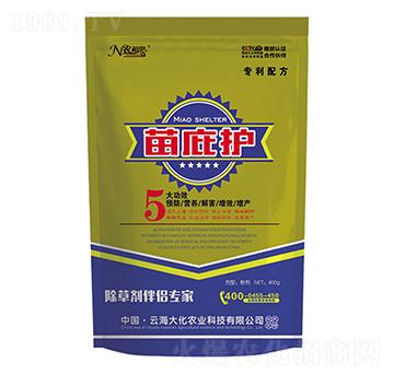 ���ݰ�H��(zhu��n)��-����o(h��)-�ƺ���