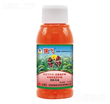 ���w�(q��)�B�������ͣ�-������