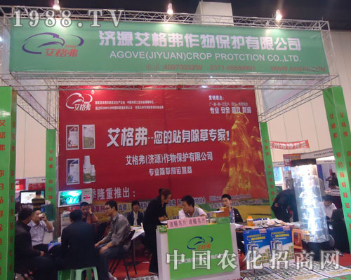 ���������N�����݌�����