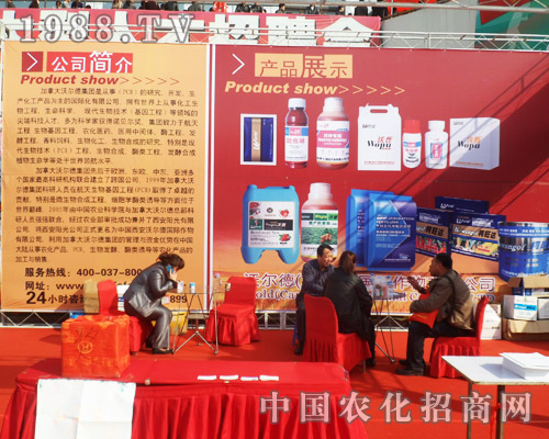 �֠�����2013�����ð��շ��ϕ�(hu��)�ϻ����o(w��)��