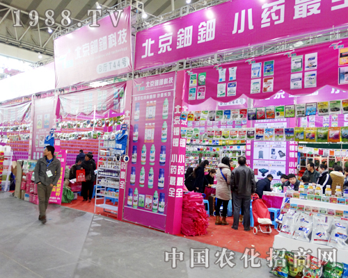 ��������2015�����I�N���p����(hu��)����עĿ