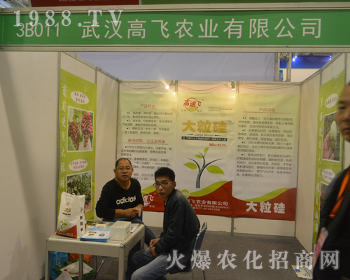 ��h���w�r(n��ng)�I(y��)��2016ɽ�|ֲ�����ו��`�Ź��