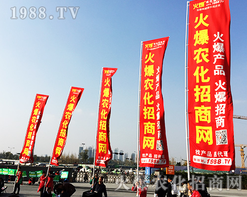 ����ʮ�Č�ȫ��ֲ���������r(n��ng)�����̾W(w��ng)�L(f��ng)��ȫ����