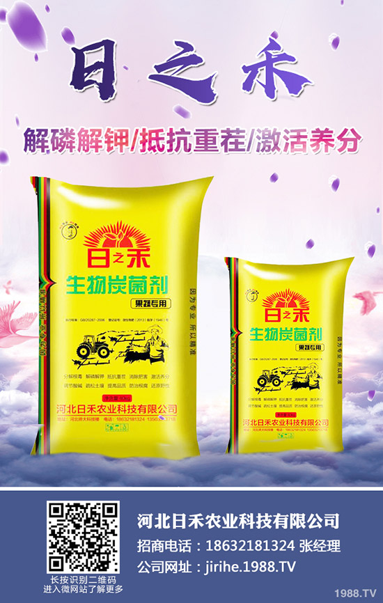 2019.10.10�Շ�(gu��)��(n��i)���؃r(ji��)���߄�(sh��)���������(b��o)