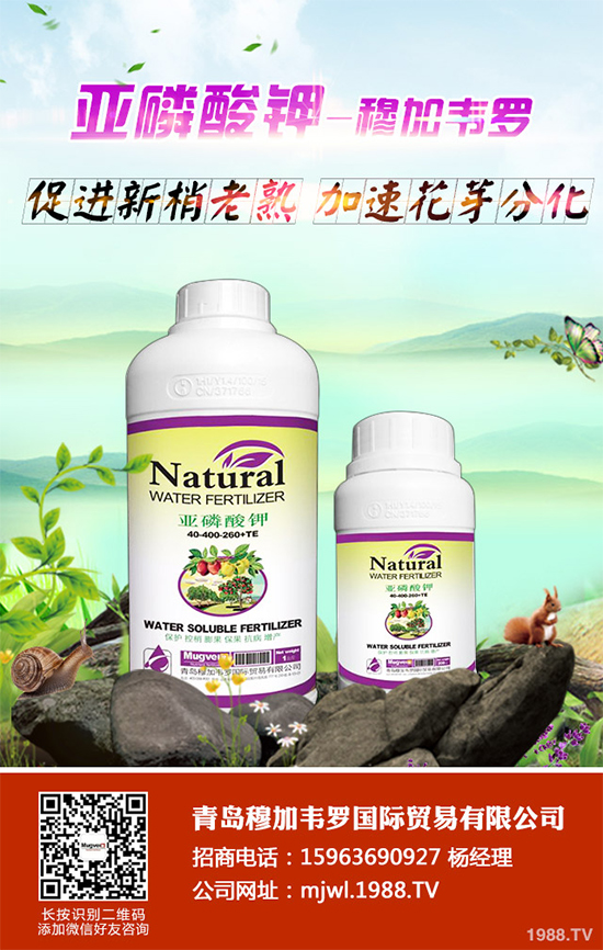 ���{(l��n)ܛ��������Щ�Y����F(xi��n)������ΰl(f��)���������{(l��n)ܛ�����A(y��)����ʩ