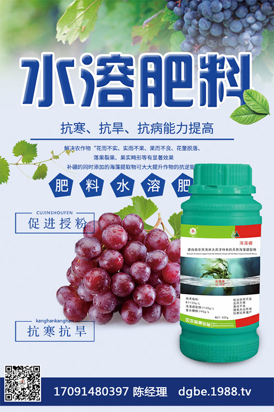 ���{(l��n)�ڰ߲�Σ���@ô��������ԓ��η��Σ������������