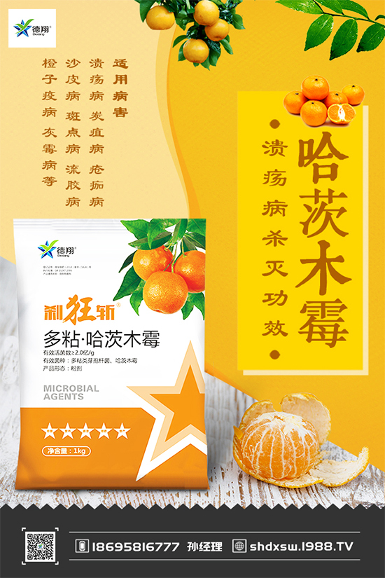 ���{(l��n)�ڰ߲�Σ���@ô��������ԓ��η�������������ɣ�