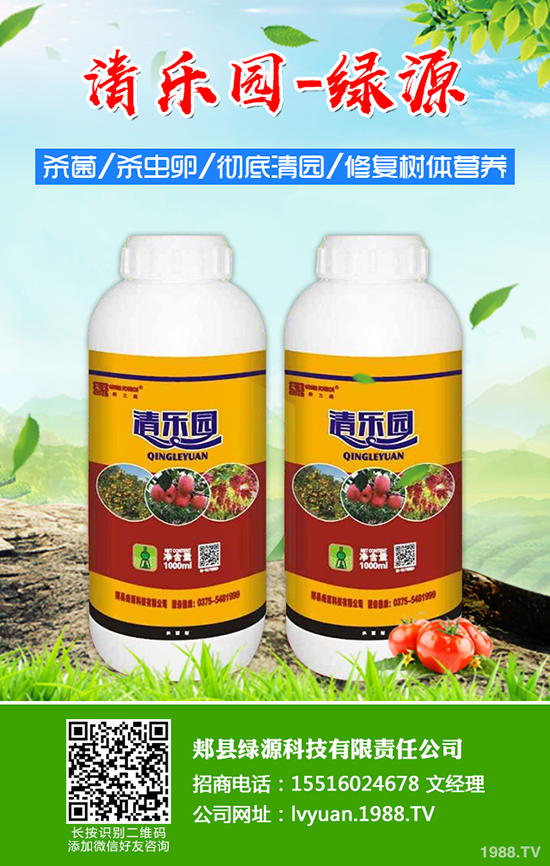 草莓如何施底肥,草莓底肥施用方法及注意事項!