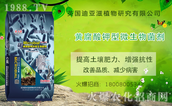 �r(n��ng)���W(w��ng)ϲӭ��������Ӣ���ρ��̔y��1988.TV���_�ؾW(w��ng)�j(lu��)������������