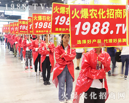     2019�Ϸ��r�Y���[���ϻ��r���W��Ӣ�ɳ�������(zh��n)����