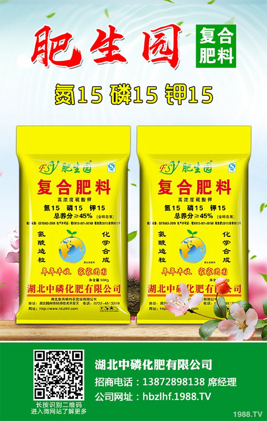 香菜如何施肥產(chǎn)量更高?秋茬香蔥高產(chǎn)施肥方案