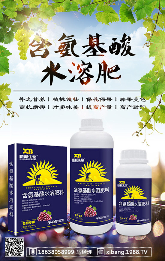 香蔥常見(jiàn)病害有哪些?香蔥病蟲(chóng)害防治技術(shù)大全