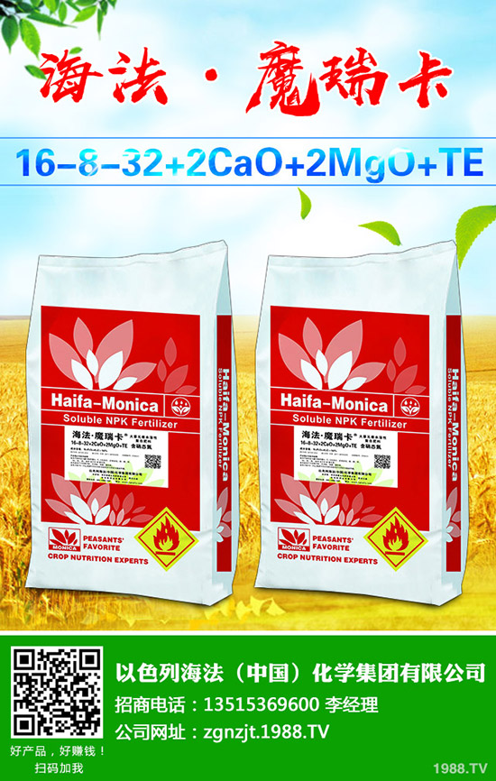     2019��10�µ�����⛷��Ј������߄��A(y��)�y