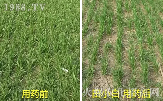 ��(ji��)��(ji��)����η�������ʲôˎ����ô��ˎЧ���ã�