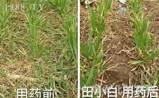 ��(ji��)��(ji��)����η�������ʲôˎ����ô��ˎЧ���ã�