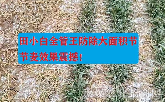 ��(ji��)��(ji��)����η�������ʲôˎ����ô��ˎЧ������