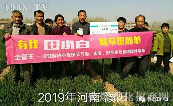 39��(ji��)��(ji��)����η�������ʲôˎ����ô��ˎЧ���ã�