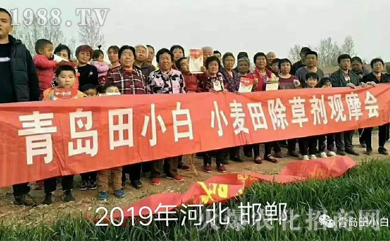 ��(ji��)��(ji��)����η�������ʲôˎ����ô��ˎЧ������