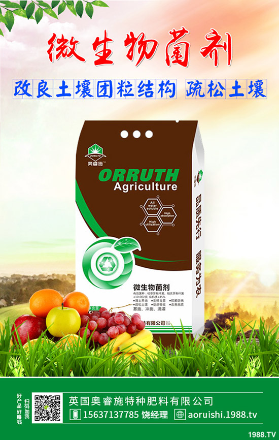     �������������ͺϷ������߄ݷ���2019��10��22��